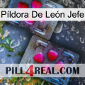 Píldora De León Jefe 15